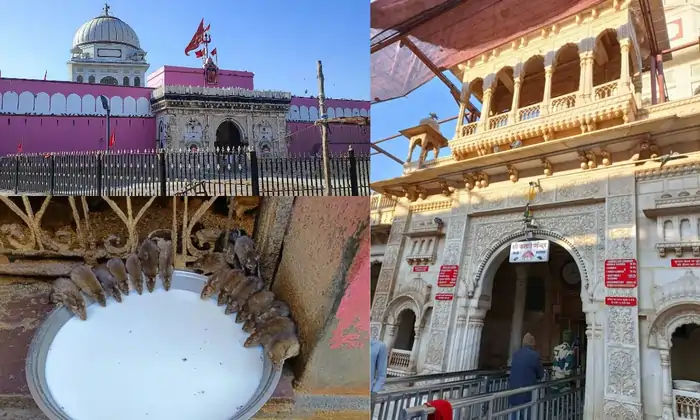 करणी माता मंदिर देशनोक बीकानेर (Karni Mata Temple Deshnoke Bikaner)