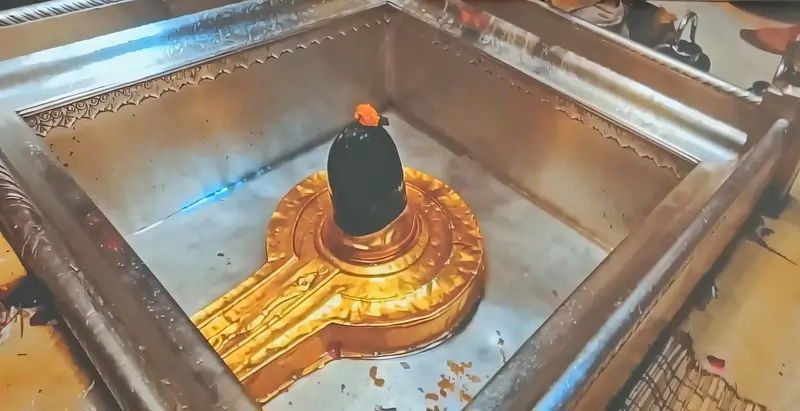 काशी विश्वनाथ मंदिर वाराणसी उत्तर प्रदेश का शिवलिंग