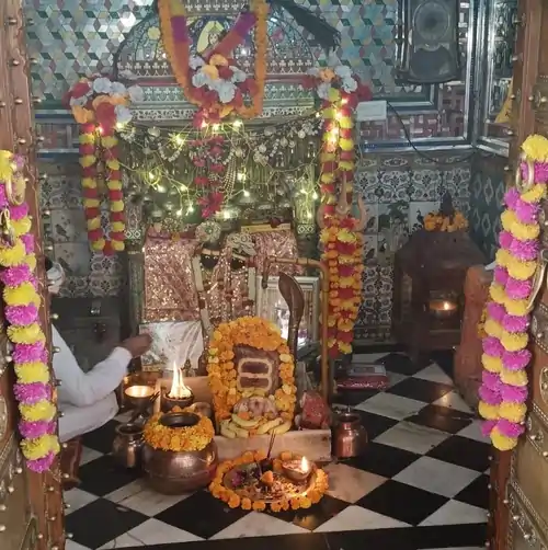 नारायणी माता मंदिर के गर्भगृह में स्थापित नारायणी माता की मूर्ति
